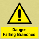 danger-falling-branches~